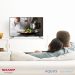 The Sharp Easy Smart Collection: Bringing Back the Simple Pleasures of Television | Good Guy Gadgets